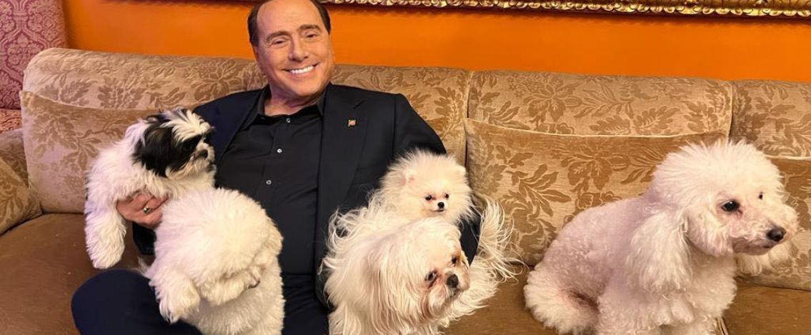 Affidamento di Dudù, il barboncino di Silvio Berlusconi, a una nuova persona: tutti i dettagli