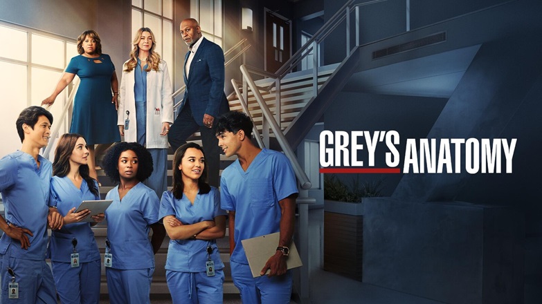 Greys Anatomy 20 e Station 19