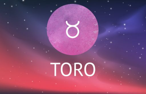 Toro 1