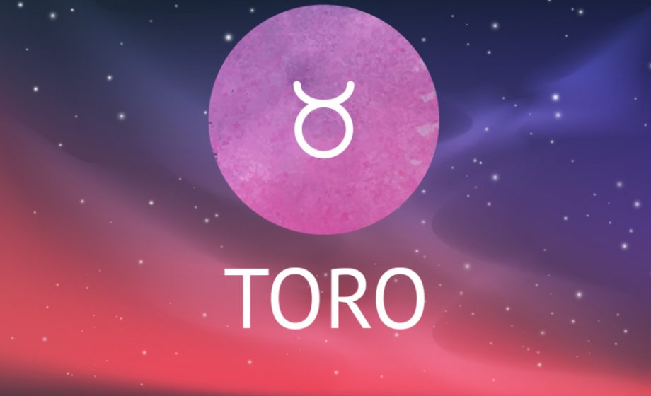 Toro 1