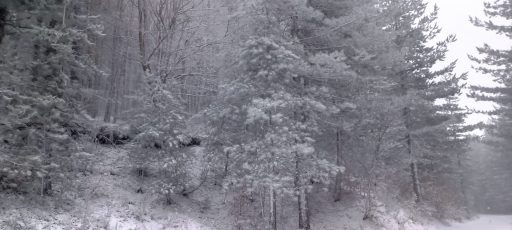 Neve e gelo in Sila uno spett