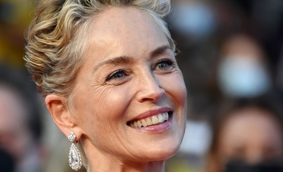 Sharon Stone e le sue idee su