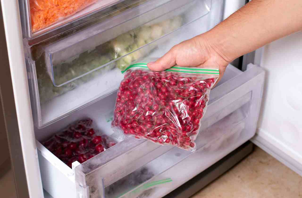 Cibo nel freezer - Avvisatore.it