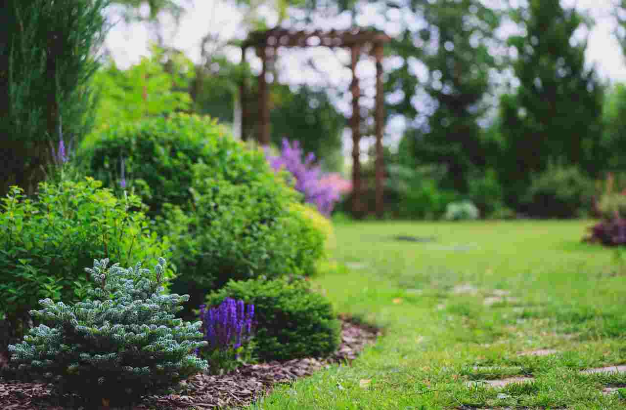 Piante in casa e giardino, ecco il trucco che ti salva le tasche | Non comprare più fertilizzanti costosi: la salvezza è nella tua dispensa