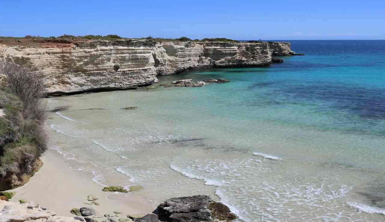 È allarme nei mari italiani: c’é un’invasione di una specie aliena | Se ti becca devi correre in ospedale: già migliaia di vacanzieri colpiti